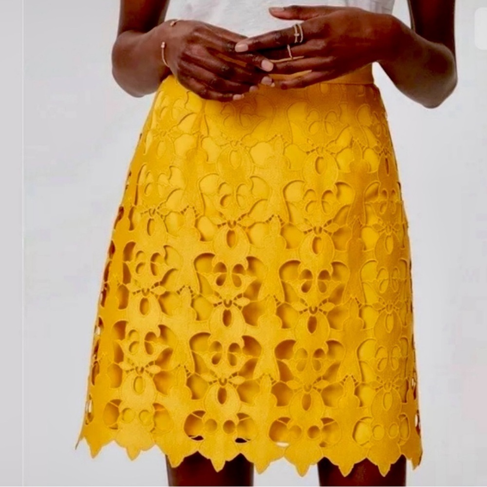 Ann Taylor LOFT Sunny Days Embroidered Skirt